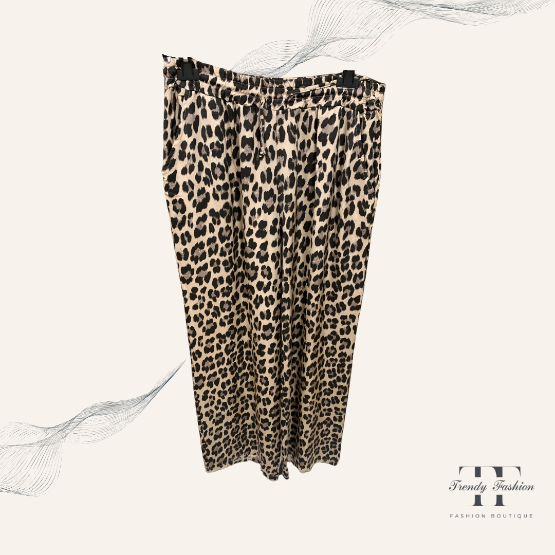 Leo Hose - Trendy Fashion
