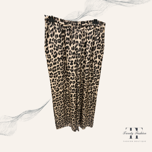 Leo Hose - Trendy Fashion